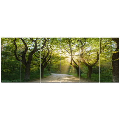 " Evening In Green Forest "