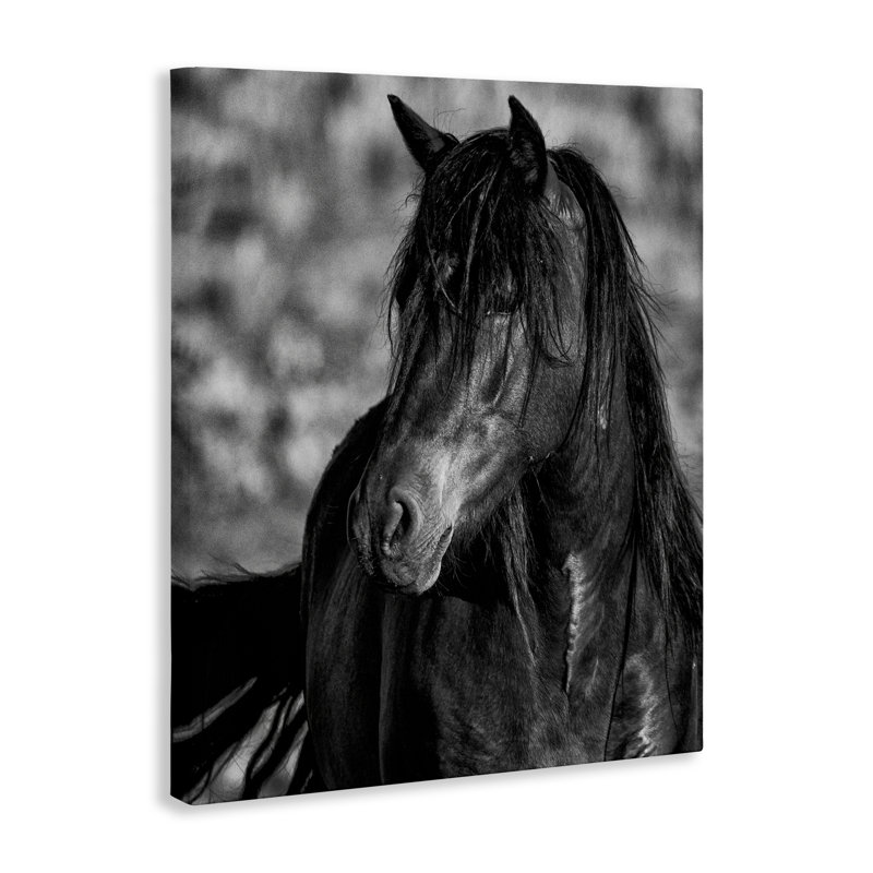 Beauté en toile noire, design par Tim West, H 30 po x l 24 po
