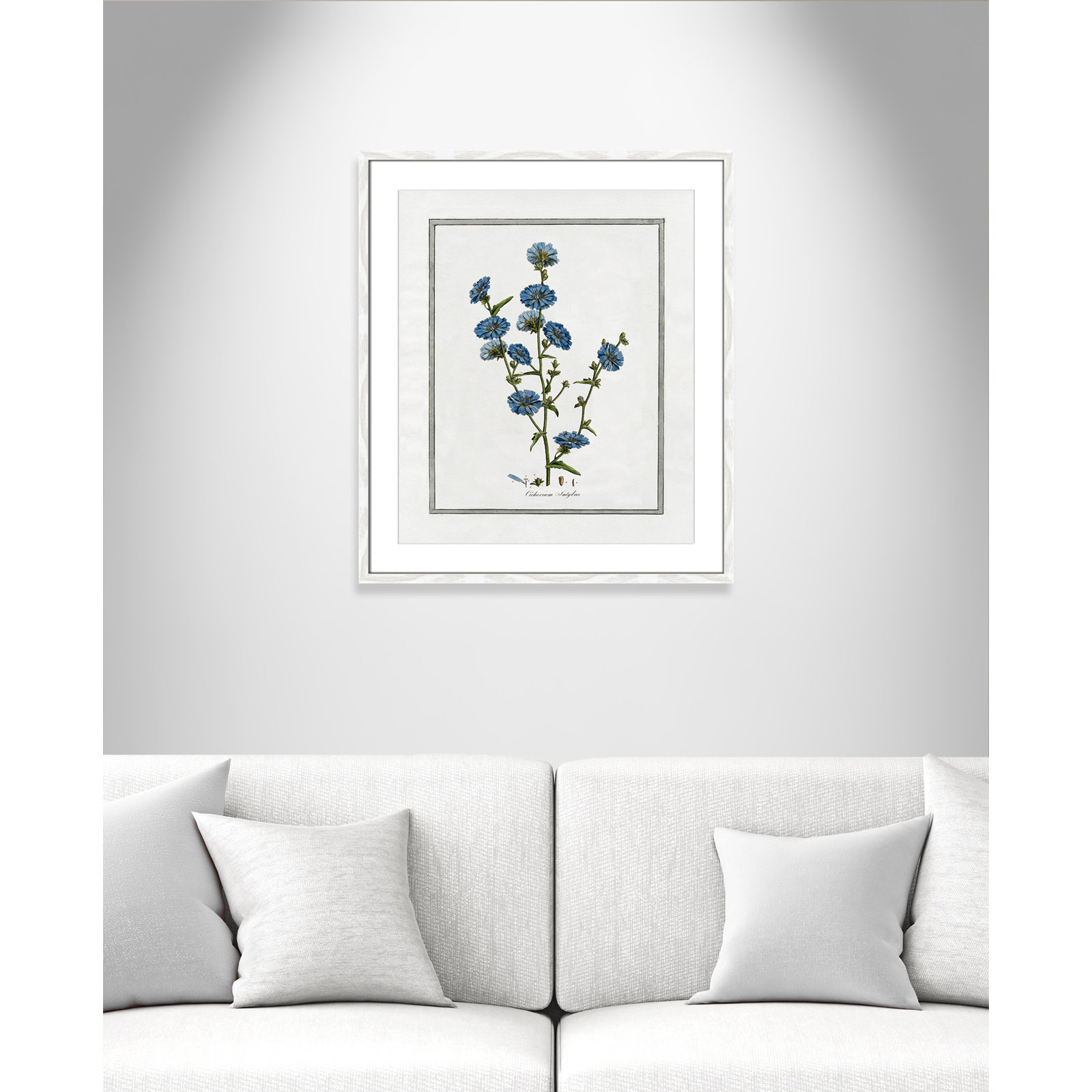 Colombe "Soft Botanical I" Print, 21.5" W x 25.5" H, White Framed