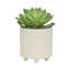Jardinières texturées S / 2 6/8 po-1207122781