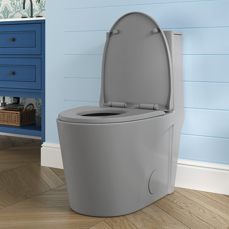 Compact One Piece Modern Elongated Toilet with ADA-Compliant Comfort Height 17.1", Save Water Dual Flush 1.1/1.6 GPF , MAP 1000g (UF Seat Included)