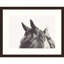 Partenaire - reproduction de photo sur papier encadrée-535478012-535478013