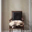 Iconic Leopard Wallpaper-69259199