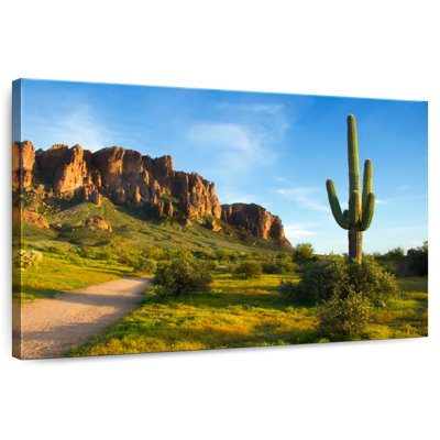 Alvord Saguaro