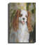 «Cavalier King Charles» par Solveiga
