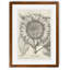 « fresco-tournesol i » par paul cezanne-reproduction d’art sur image-963831429-963831431