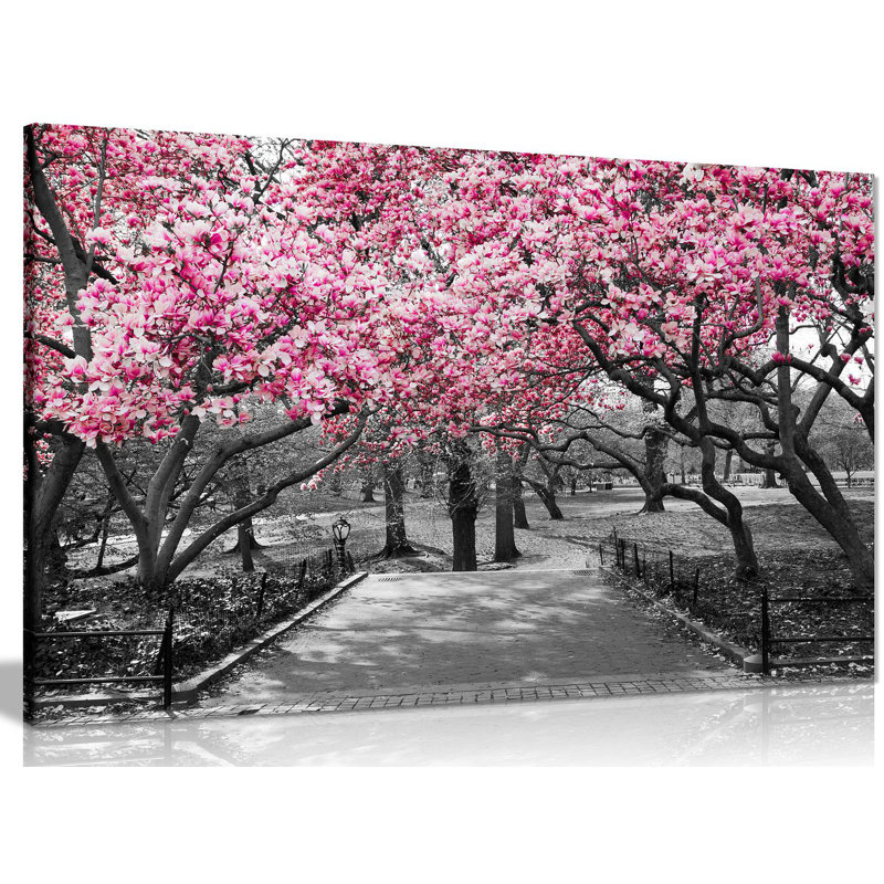 Blossoms - Wrapped Canvas Print, 51cm H x 76cm W