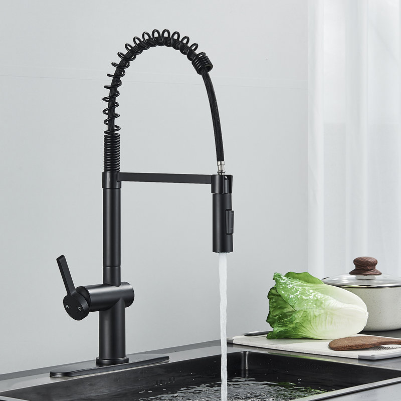 Belfry Kitchen Tanuja Pull Out Kitchen Faucet