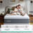 Novilla 12 Inch Queen Gel Memory Foam Mattress, Cooling Green Tea Infused Bed in a Box with Lumbar Support, Medium Firm Feel for Pressure Relief & Spinal Alignment-914838700-914838703