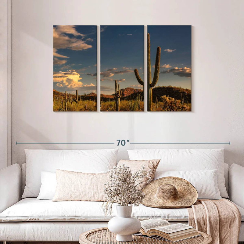 Cactus Harnek Tucson, H 28 po x l 45 po