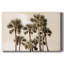 Toile tendue avec châssis Blush Palms - prête à être accrochée-2030625418
