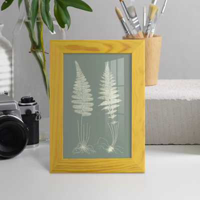 Ferns On Sage VI, reproduction d'art encadrée