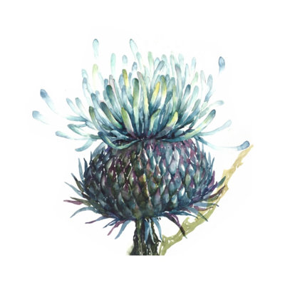 «Natural III» par Beverly Fuller - peinture sur toile tendue