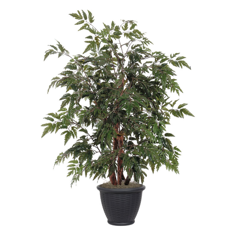 Artificial Ming Aralia Bush, Gray