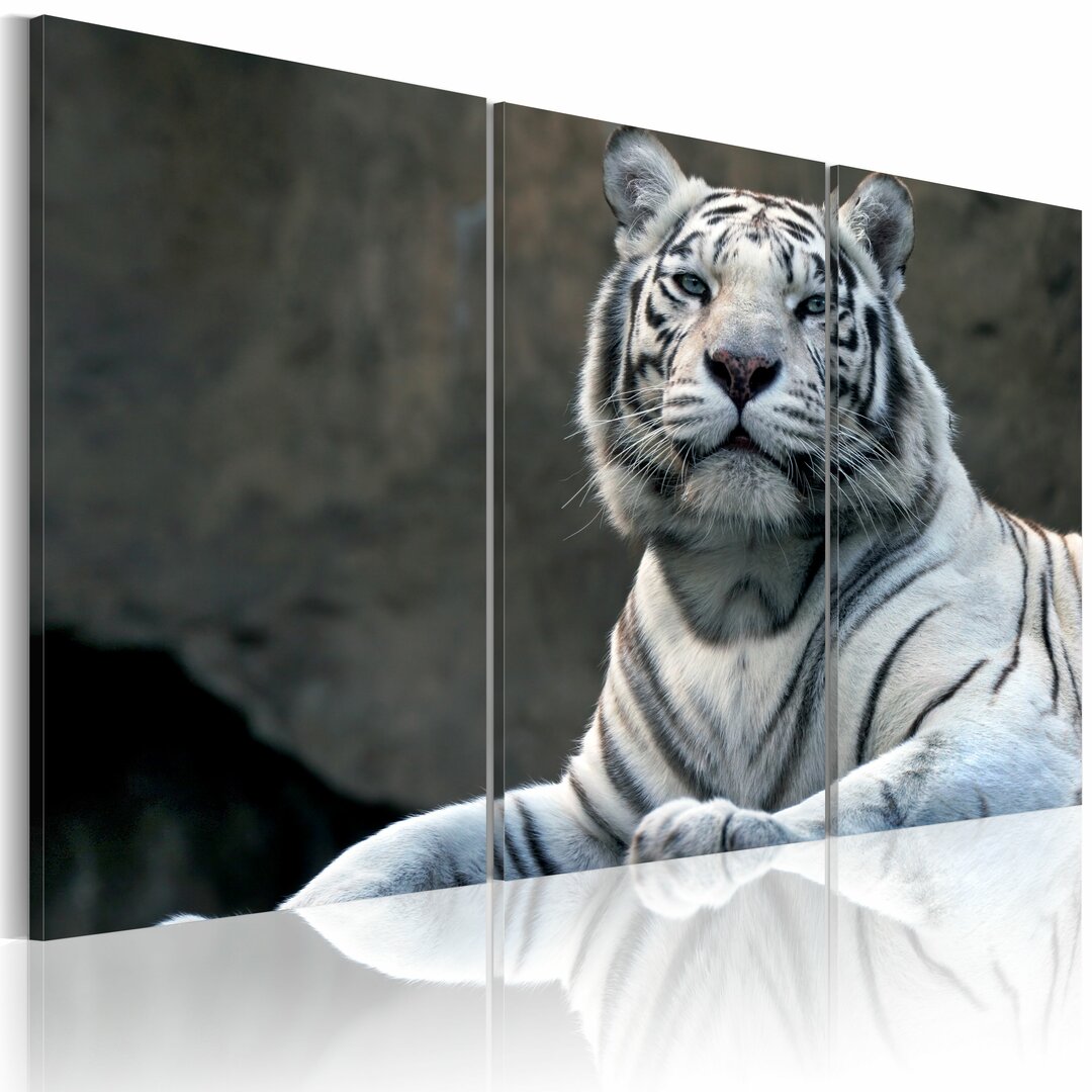 Leinwandbild White Tiger