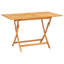Steller 4 - Person Teak Patio Dining Set with Rectangular Table