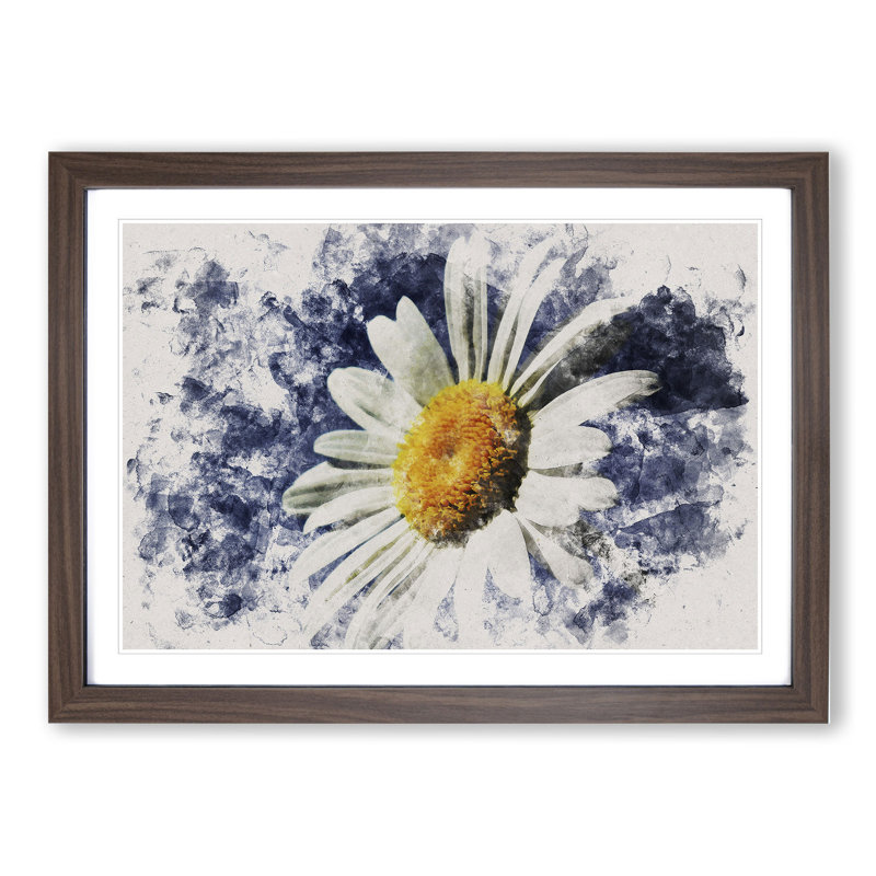 White Daisy Vol.5 - Picture Frame Graphic Art, 27cm H x 36cm W x 2cm D, Walnut Framed