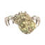 Hermit Crab Paperweight