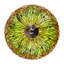 Hanginghead Dragonfly 5 - Light Pendant