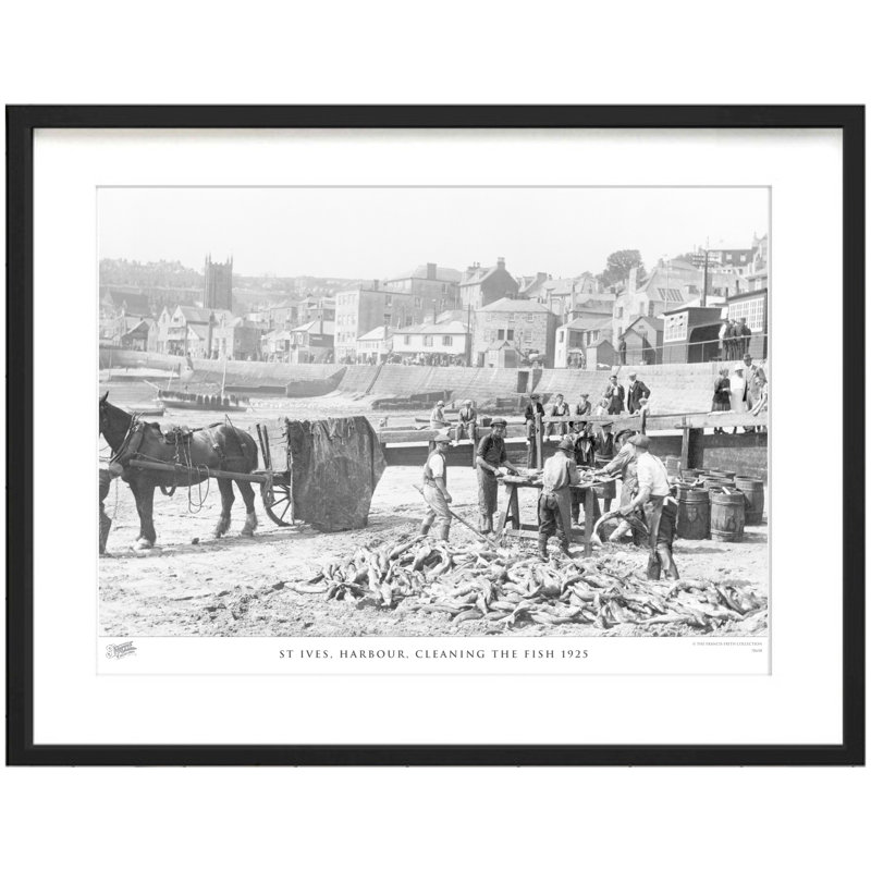 St Ives, Harbour, Cleaning The Fish 1925 by Francis Frith - Single Picture Frame Print, 28cm H x 36cm W x 2.3cm D