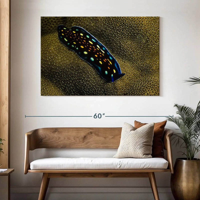 Crowle Linda's Flatworm