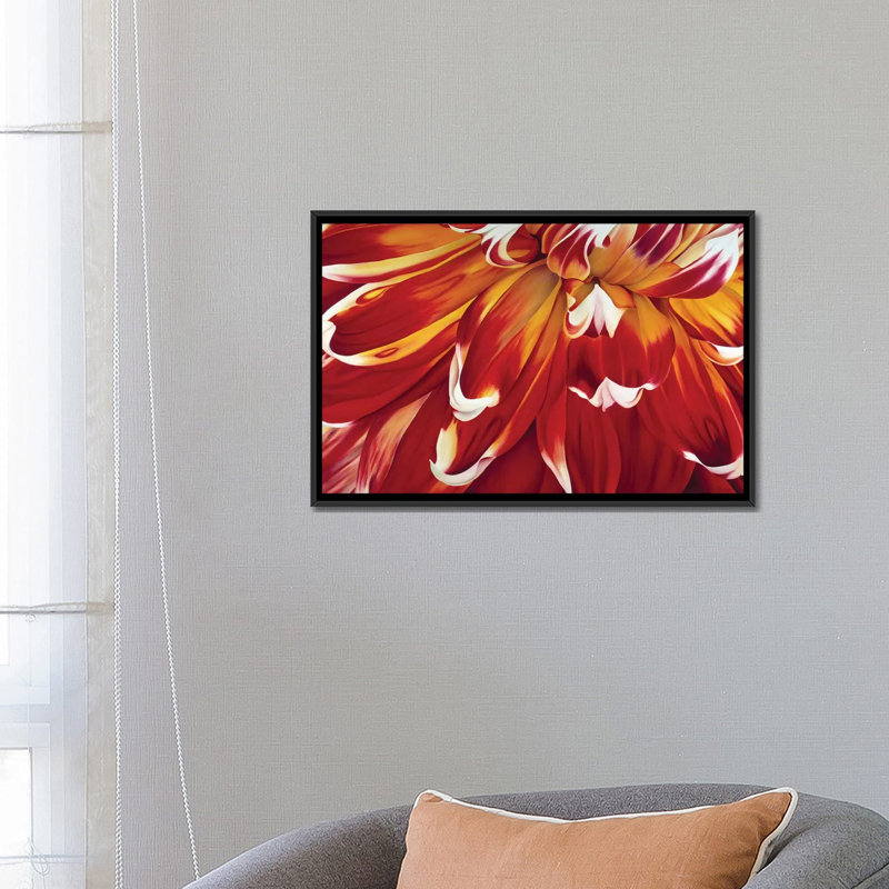 « redony », impression sur toile, H 18 po x l 26 po x P 1,5 po, Toile avec cadre noir, Pas de tapis