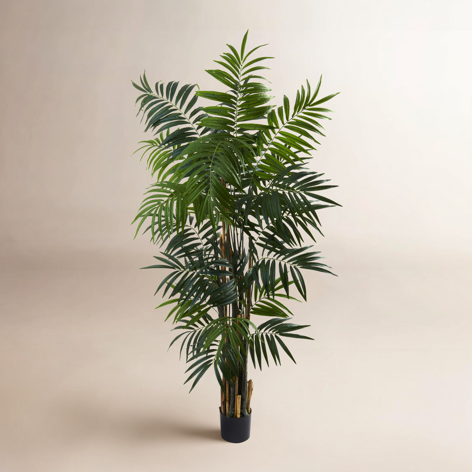 Thisbe 72'' Faux Palm Tree in Pot