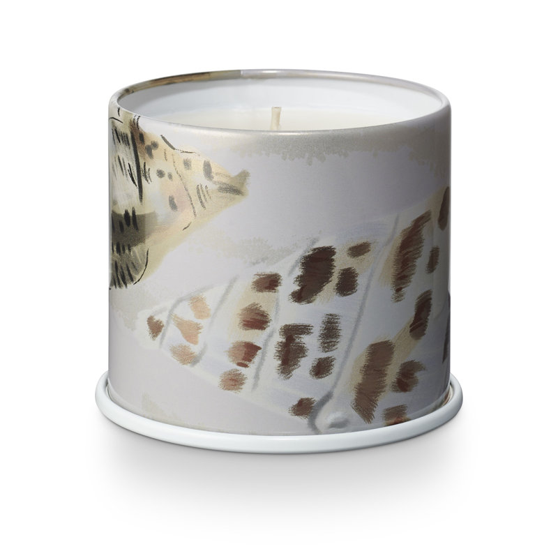 Amber Driftwood Scented Vegan Candle in Tin