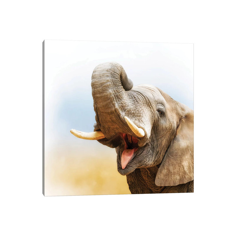 African Elephant Closeup With Pastel Background by Susan Schmitz - Wrapped Canvas Gallery-Wrapped Canvas Giclée