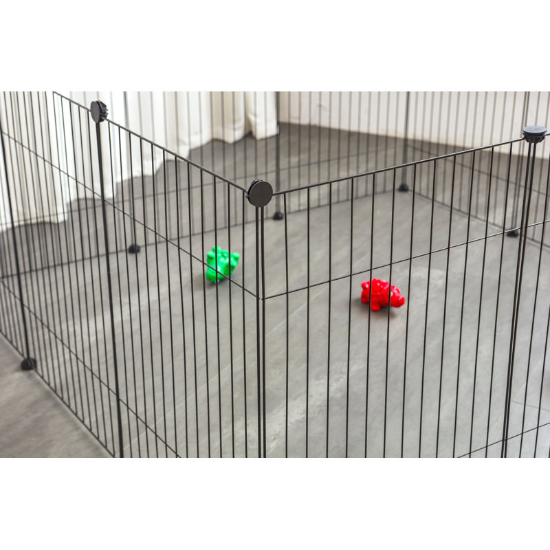 Enclos pour animaux Modern