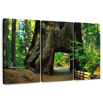 Tunnel Harnek Tuolumne