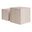 Ensemble de tables basses 2 pièces Rosabel Cambro