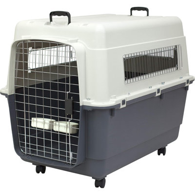 Caisse de voyage pour chien en plastique