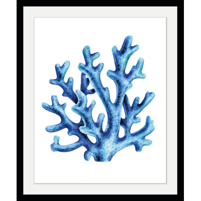 Seaweed - Single Picture Frame Print