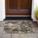 Caseville Abstract Indoor Rug
