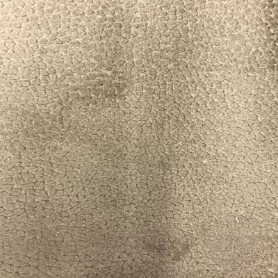 Cut Velvet | Liam Fabric_LIAM
