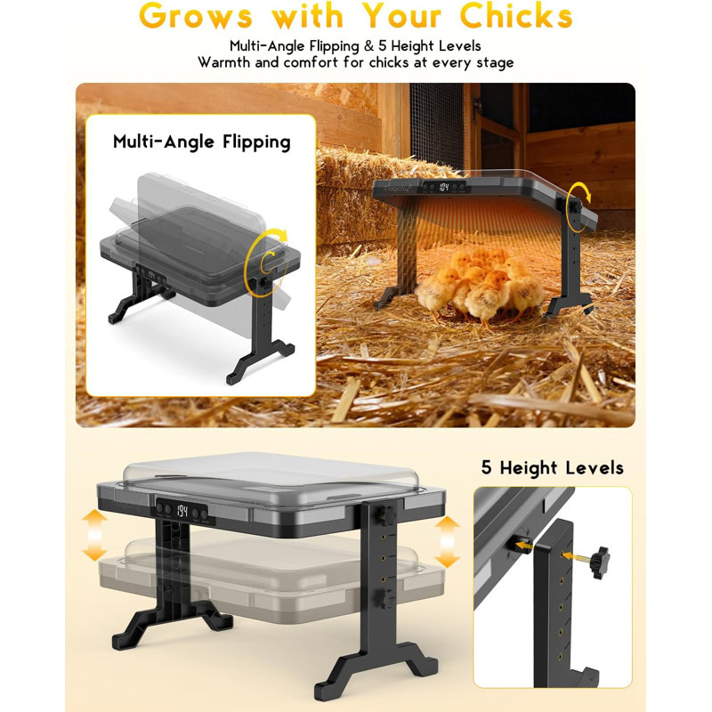 Chaufferette de poulet réglable MagicW 200W avec temp et minuterie, conforme UL
