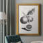 " Antique Lemons & Oranges II "-1218147568