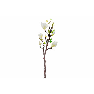 Ih Casadecor Magnolia Arrangement