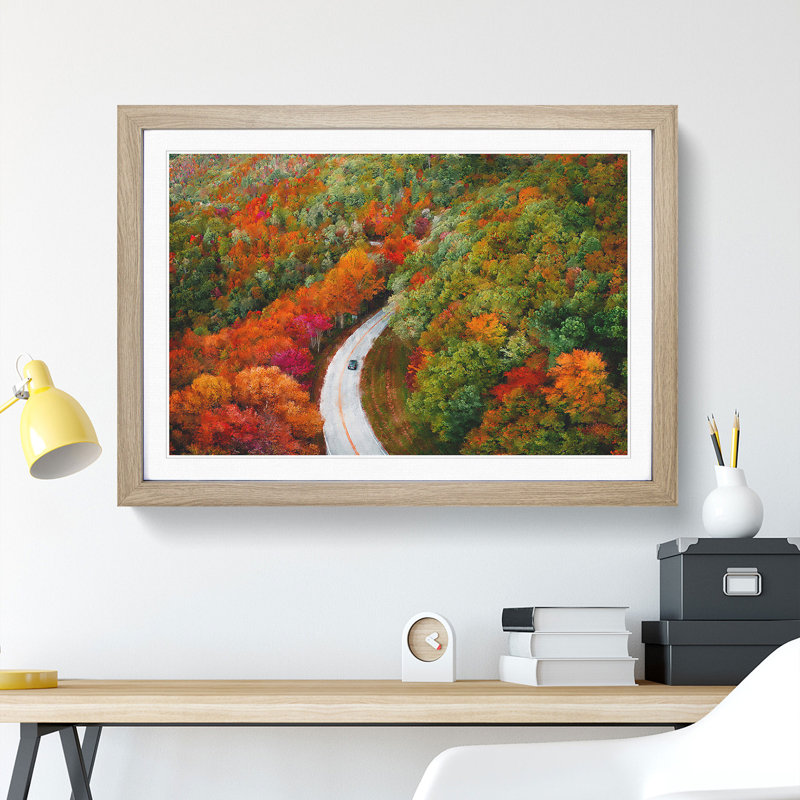 Road Through an Autumn Forest Vol.2 - Picture Frame Painting, 27cm H x 36cm W x 2cm D, Oak Framed