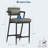 Bar Stools Set of 2, Tall Upholstered Chairs with Backrest & Footrest for Kitchen Island-1701330291