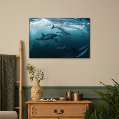 Steelpix Metal Canvas - Dolphine Run by Andrey Narchuk - Wall Art Print