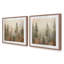 «Foggy Warm Forest»-169141580-169141573
