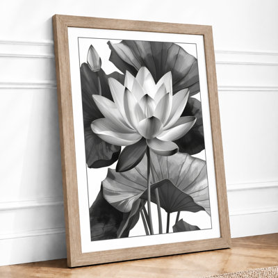 Lotus in Bloom Botanical - Framed Print