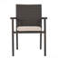 Outdoor DINING CHAIR With Cushion