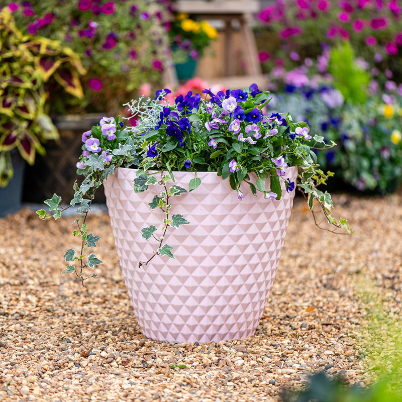Cassarah Pot Planter, Pink