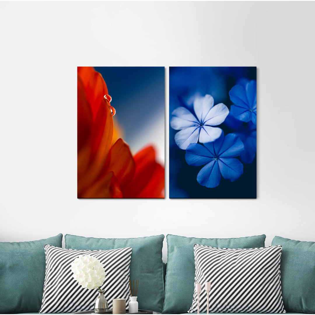 2-tlg. Leinwandbilder-Set - Fotografie „Flowers Blossoms Red Blue Summer”