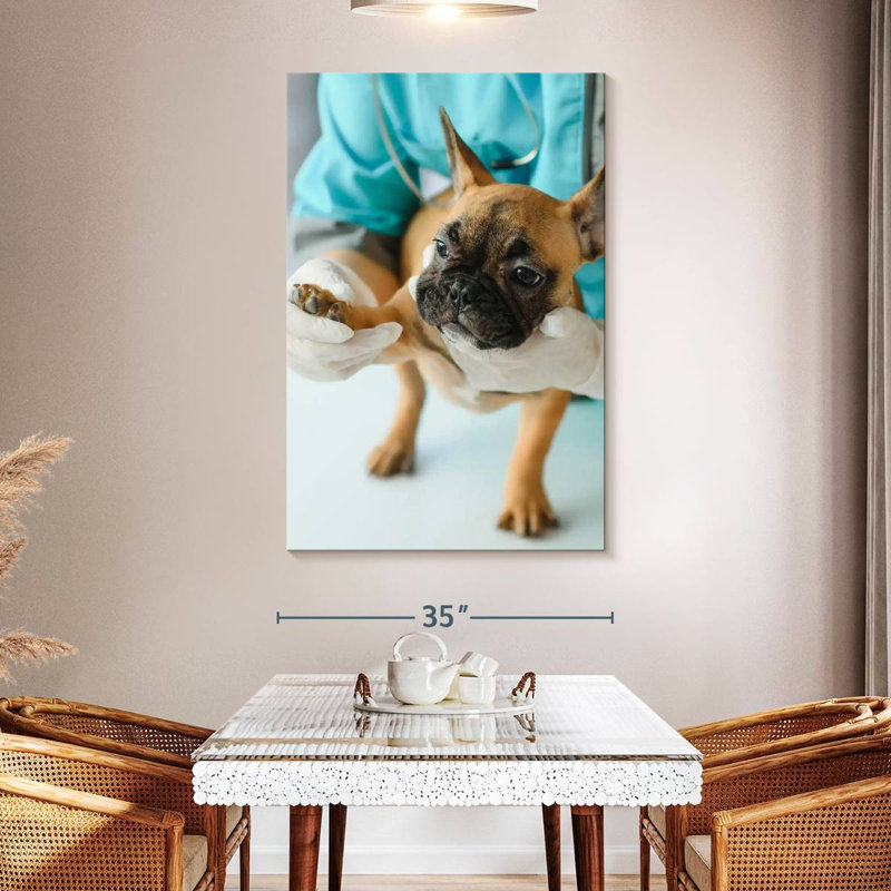Brampt Pet Care, 51" H x 34" W