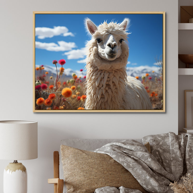 Beige noir lama dans un champ de fleurs, reproduction de photo sur toile, H 30 po x l 40 po x P 1,5 po