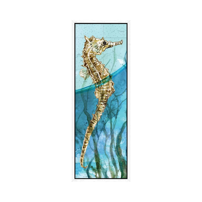 Atlantic Seahorse by Carol Robinson - Panoramic Print on Canvas, 30.48 cm H x 91.44 cm W, White Framed